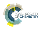 ROYAL SOCIETY OF CHEMISTRY