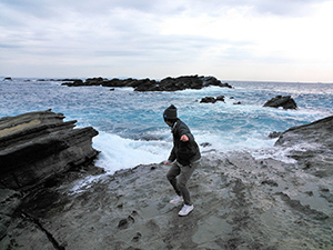 海